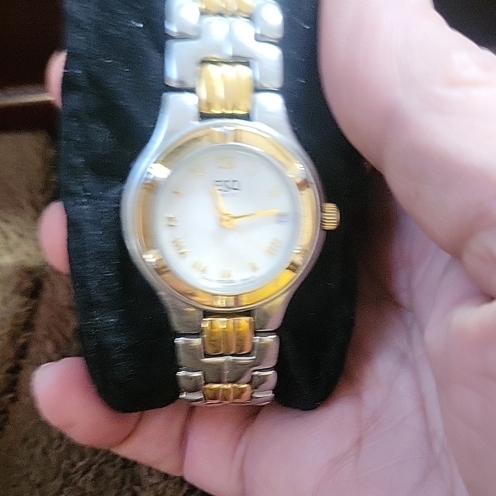 Gold and Silver Esq Swiss  Watch